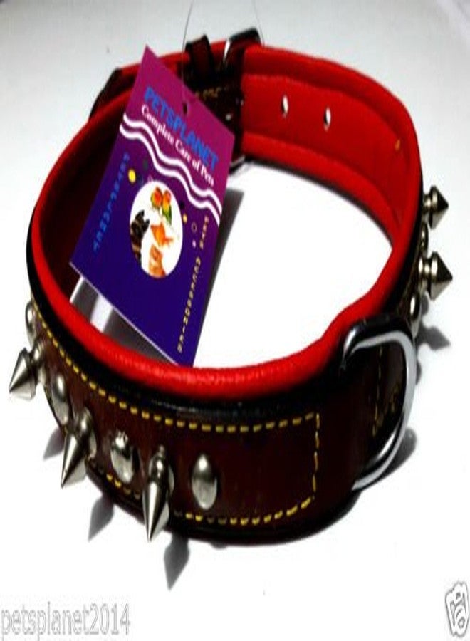 Ocean Wave Petsplanet PU Dog Collar with Soft Red Pad - Small & Medium Size Dogs 1" - Image 3